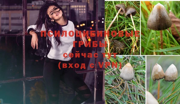 PSILOCYBIN Абинск