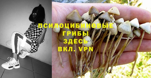 дурь Липки