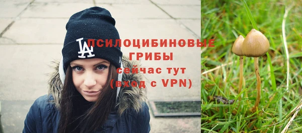 гашиш Абаза